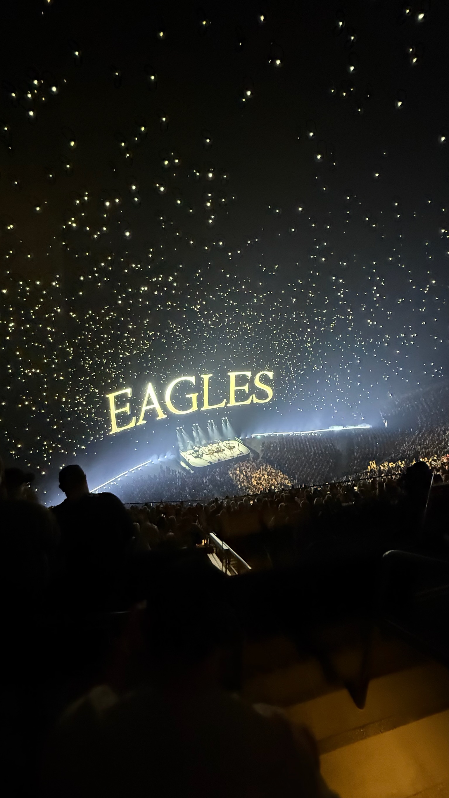 Eagles at Sphere at the Venetian Resort — photo 12
