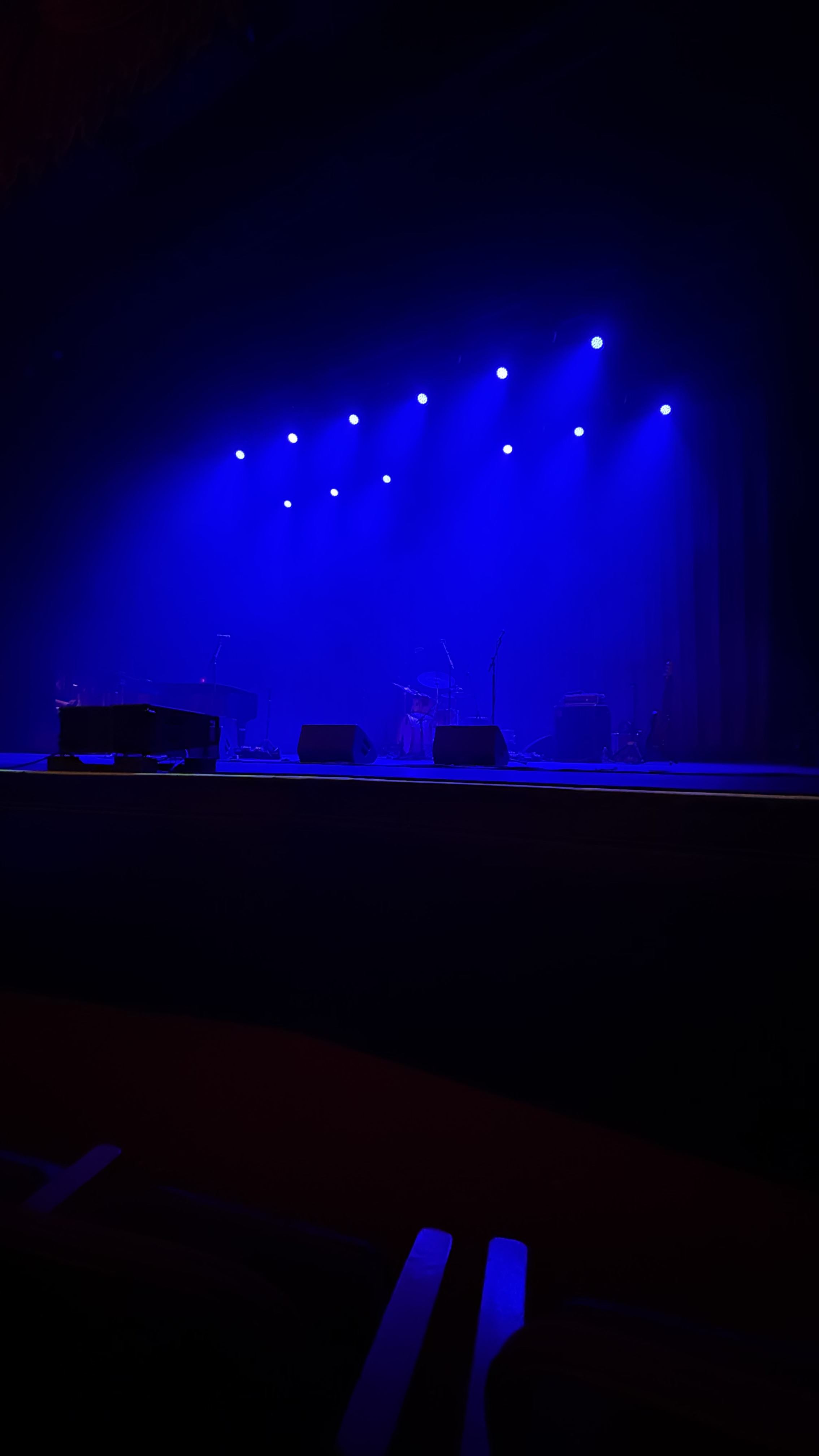 The Swell Season at The Riverside Theater — photo 4